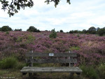 Sallandse Heuvelrug